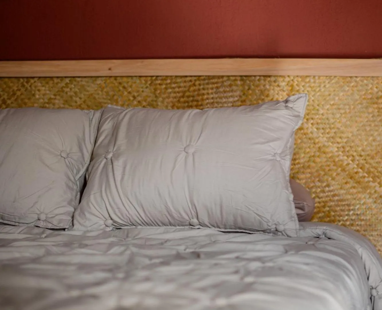 Agave Stays, Guest House Antigua